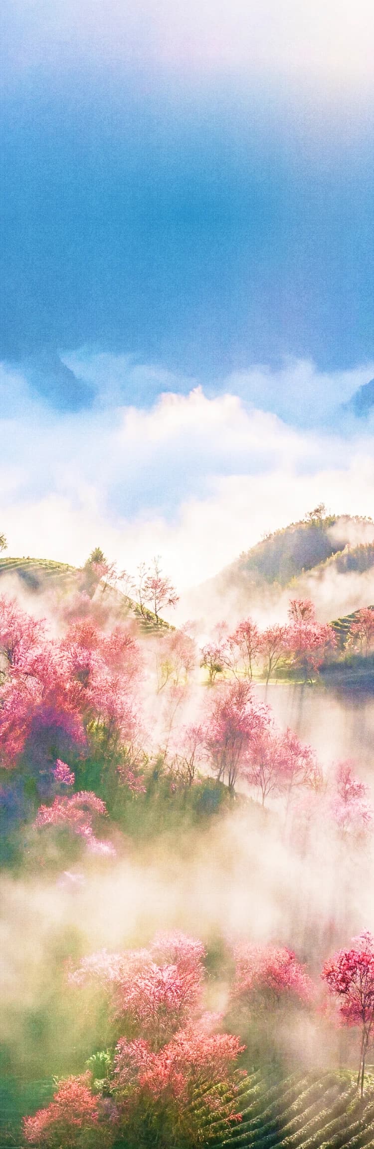 Background mobile