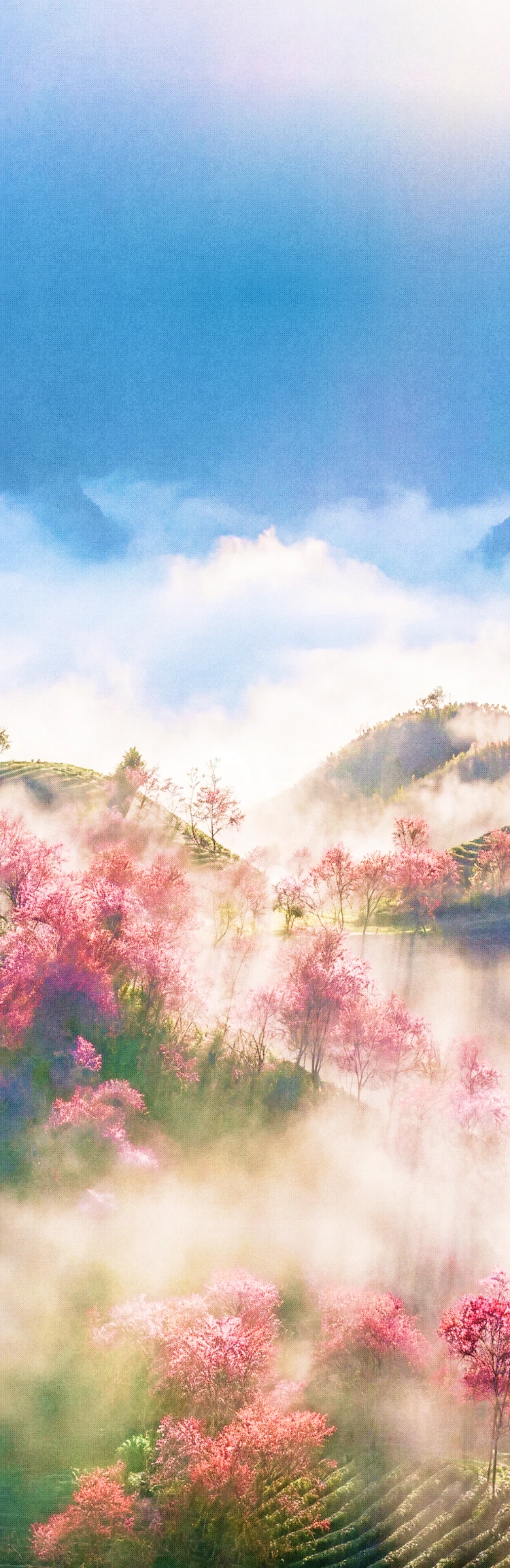 Background mobile